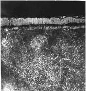 Microstructure of steel